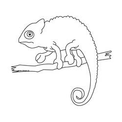 Dibujo para colorear: Camaleón (Animales) #1393 - Dibujos para Colorear e Imprimir Gratis
