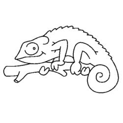 Dibujo para colorear: Camaleón (Animales) #1394 - Dibujos para Colorear e Imprimir Gratis
