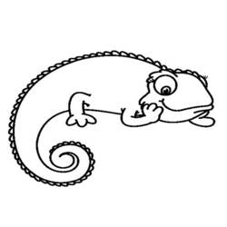 Dibujo para colorear: Camaleón (Animales) #1398 - Dibujos para Colorear e Imprimir Gratis