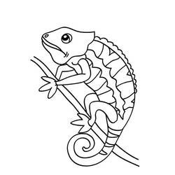 Dibujo para colorear: Camaleón (Animales) #1399 - Dibujos para Colorear e Imprimir Gratis