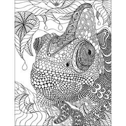 Dibujo para colorear: Camaleón (Animales) #1404 - Dibujos para Colorear e Imprimir Gratis