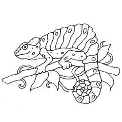 Dibujo para colorear: Camaleón (Animales) #1405 - Dibujos para Colorear e Imprimir Gratis
