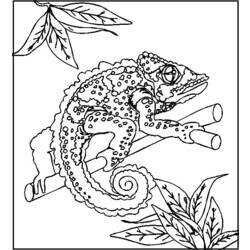 Dibujo para colorear: Camaleón (Animales) #1409 - Dibujos para Colorear e Imprimir Gratis