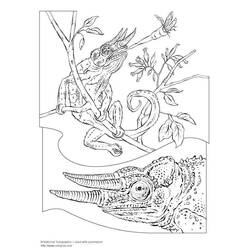 Dibujo para colorear: Camaleón (Animales) #1416 - Dibujos para Colorear e Imprimir Gratis