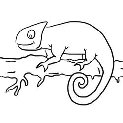 Dibujo para colorear: Camaleón (Animales) #1417 - Dibujos para Colorear e Imprimir Gratis