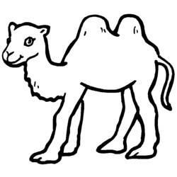 Dibujo para colorear: Camello (Animales) #1661 - Dibujos para Colorear e Imprimir Gratis