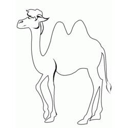 Dibujo para colorear: Camello (Animales) #1674 - Dibujos para Colorear e Imprimir Gratis