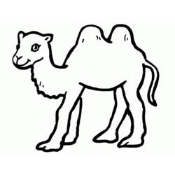 Dibujo para colorear: Camello (Animales) #1681 - Dibujos para Colorear e Imprimir Gratis