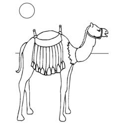 Dibujo para colorear: Camello (Animales) #1699 - Dibujos para Colorear e Imprimir Gratis