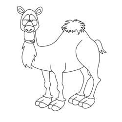 Dibujo para colorear: Camello (Animales) #1704 - Dibujos para Colorear e Imprimir Gratis