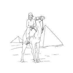 Dibujo para colorear: Camello (Animales) #1713 - Dibujos para Colorear e Imprimir Gratis