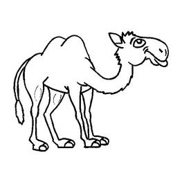Dibujo para colorear: Camello (Animales) #1719 - Dibujos para Colorear e Imprimir Gratis