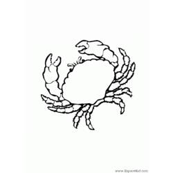Dibujo para colorear: Cangrejo (Animales) #4605 - Dibujos para Colorear e Imprimir Gratis