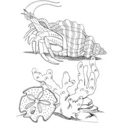 Dibujo para colorear: Cangrejo (Animales) #4616 - Dibujos para Colorear e Imprimir Gratis