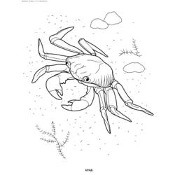 Dibujo para colorear: Cangrejo (Animales) #4659 - Dibujos para Colorear e Imprimir Gratis