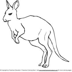Dibujo para colorear: Canguro (Animales) #9193 - Dibujos para Colorear e Imprimir Gratis