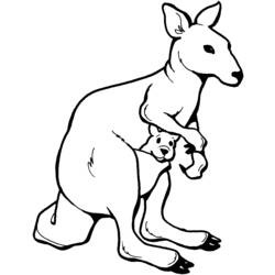 Dibujo para colorear: Canguro (Animales) #9195 - Dibujos para Colorear e Imprimir Gratis