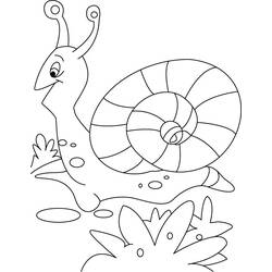 Dibujo para colorear: Caracol (Animales) #6590 - Dibujos para Colorear e Imprimir Gratis