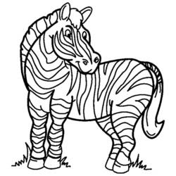 Dibujo para colorear: Cebra (Animales) #12941 - Dibujos para Colorear e Imprimir Gratis