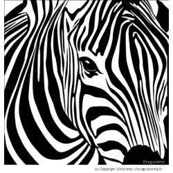 Dibujo para colorear: Cebra (Animales) #12965 - Dibujos para Colorear e Imprimir Gratis