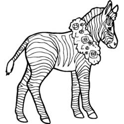 Dibujo para colorear: Cebra (Animales) #12979 - Dibujos para Colorear e Imprimir Gratis