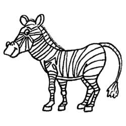 Dibujo para colorear: Cebra (Animales) #12983 - Dibujos para Colorear e Imprimir Gratis