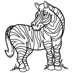 Dibujo para colorear: Cebra (Animales) #13008 - Dibujos para Colorear e Imprimir Gratis