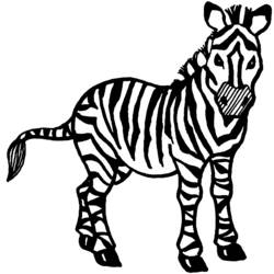 Dibujo para colorear: Cebra (Animales) #13019 - Dibujos para Colorear e Imprimir Gratis