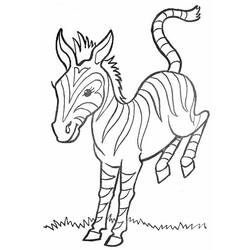 Dibujo para colorear: Cebra (Animales) #13105 - Dibujos para Colorear e Imprimir Gratis