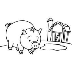 Dibujo para colorear: Cerdo (Animales) #3598 - Dibujos para Colorear e Imprimir Gratis