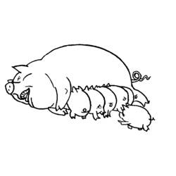 Dibujo para colorear: Cerdo (Animales) #3599 - Dibujos para Colorear e Imprimir Gratis