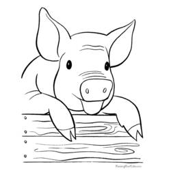 Dibujo para colorear: Cerdo (Animales) #3605 - Dibujos para Colorear e Imprimir Gratis