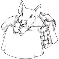 Dibujo para colorear: Cerdo (Animales) #3642 - Dibujos para Colorear e Imprimir Gratis