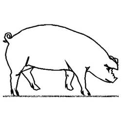 Dibujo para colorear: Cerdo (Animales) #3643 - Dibujos para Colorear e Imprimir Gratis