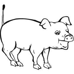 Dibujo para colorear: Cerdo (Animales) #3657 - Dibujos para Colorear e Imprimir Gratis
