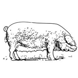 Dibujo para colorear: Cerdo (Animales) #3733 - Dibujos para Colorear e Imprimir Gratis