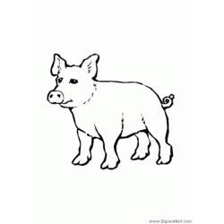 Dibujo para colorear: Cerdo (Animales) #3765 - Dibujos para Colorear e Imprimir Gratis