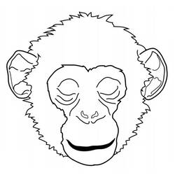 Dibujo para colorear: Chimpancé (Animales) #2773 - Dibujos para Colorear e Imprimir Gratis