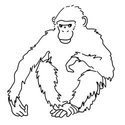 Dibujo para colorear: Chimpancé (Animales) #2779 - Dibujos para Colorear e Imprimir Gratis