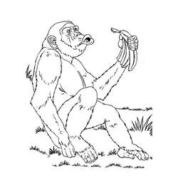 Dibujo para colorear: Chimpancé (Animales) #2782 - Dibujos para Colorear e Imprimir Gratis
