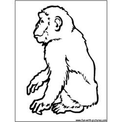 Dibujo para colorear: Chimpancé (Animales) #2794 - Dibujos para Colorear e Imprimir Gratis