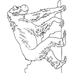 Dibujo para colorear: Chimpancé (Animales) #2796 - Dibujos para Colorear e Imprimir Gratis