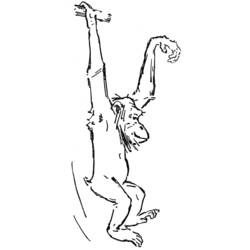 Dibujo para colorear: Chimpancé (Animales) #2812 - Dibujos para Colorear e Imprimir Gratis