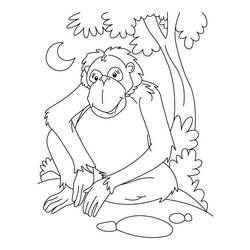 Dibujo para colorear: Chimpancé (Animales) #2827 - Dibujos para Colorear e Imprimir Gratis