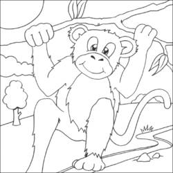 Dibujo para colorear: Chimpancé (Animales) #2866 - Dibujos para Colorear e Imprimir Gratis