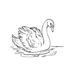 Dibujo para colorear: Cisne (Animales) #4992 - Dibujos para Colorear e Imprimir Gratis