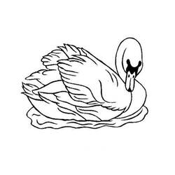 Dibujo para colorear: Cisne (Animales) #4993 - Dibujos para Colorear e Imprimir Gratis