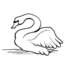 Dibujo para colorear: Cisne (Animales) #5002 - Dibujos para Colorear e Imprimir Gratis