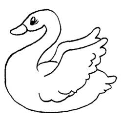 Dibujo para colorear: Cisne (Animales) #5004 - Dibujos para Colorear e Imprimir Gratis