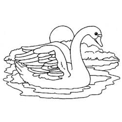 Dibujo para colorear: Cisne (Animales) #5014 - Dibujos para Colorear e Imprimir Gratis